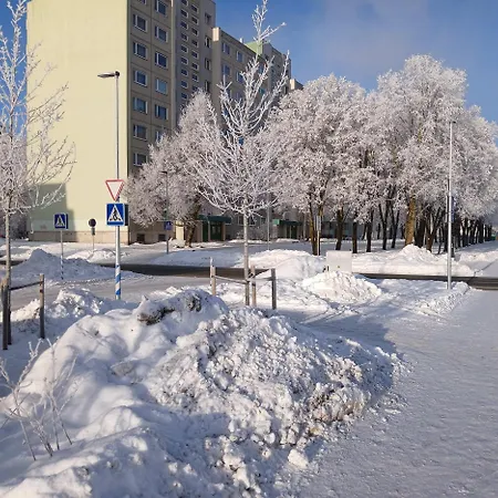 Anni * Tallin